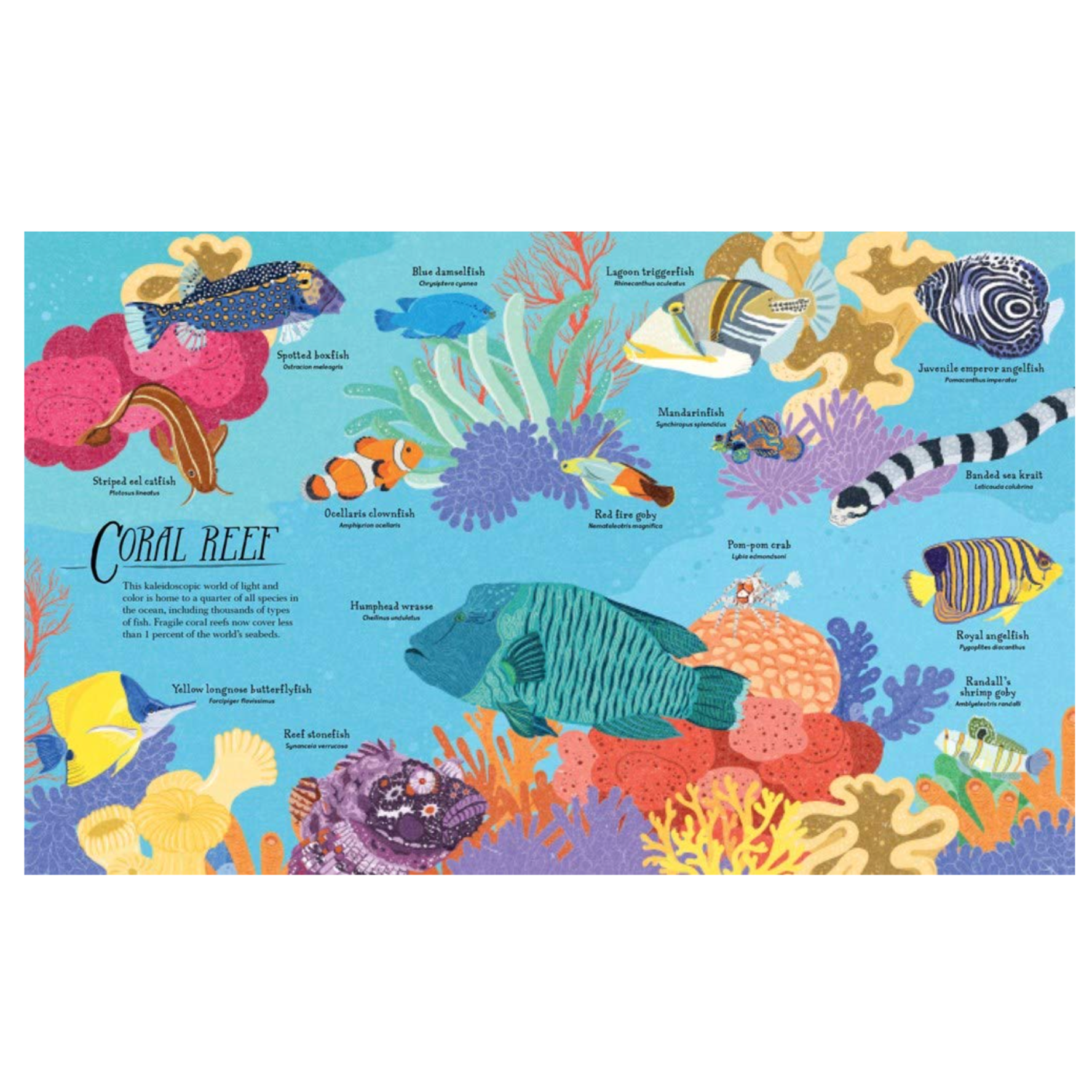 Ocean Emporium: A Compilation of Creatures