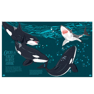 Ocean Emporium: A Compilation of Creatures
