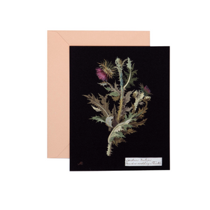 Paper Flowers Notecard Set (Box of 12)