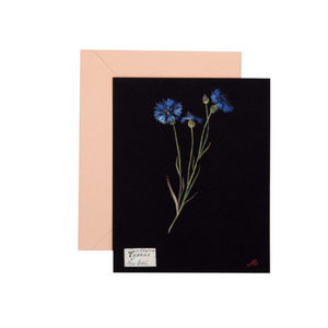 Paper Flowers Notecard Set (Box of 12)