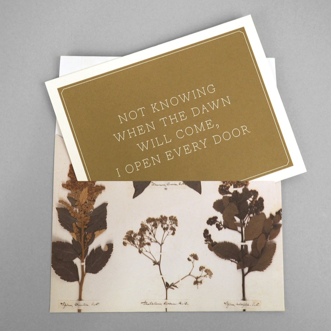 Emily Dickinson Notecard Set (Box of 12)