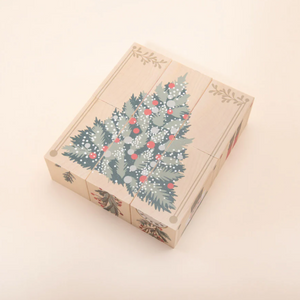 Environments Christmas Blocks
