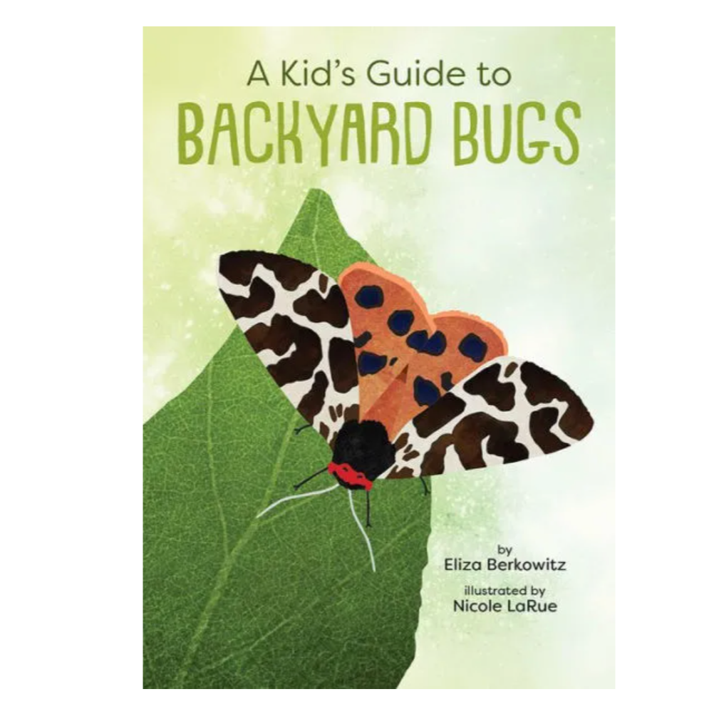 Kid's Guide to Backyard Bugs