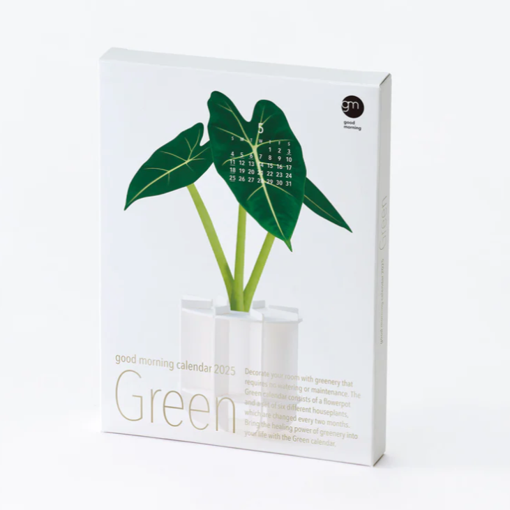 Green 3D 2025 Calendar – Hitchcock Paper Co.