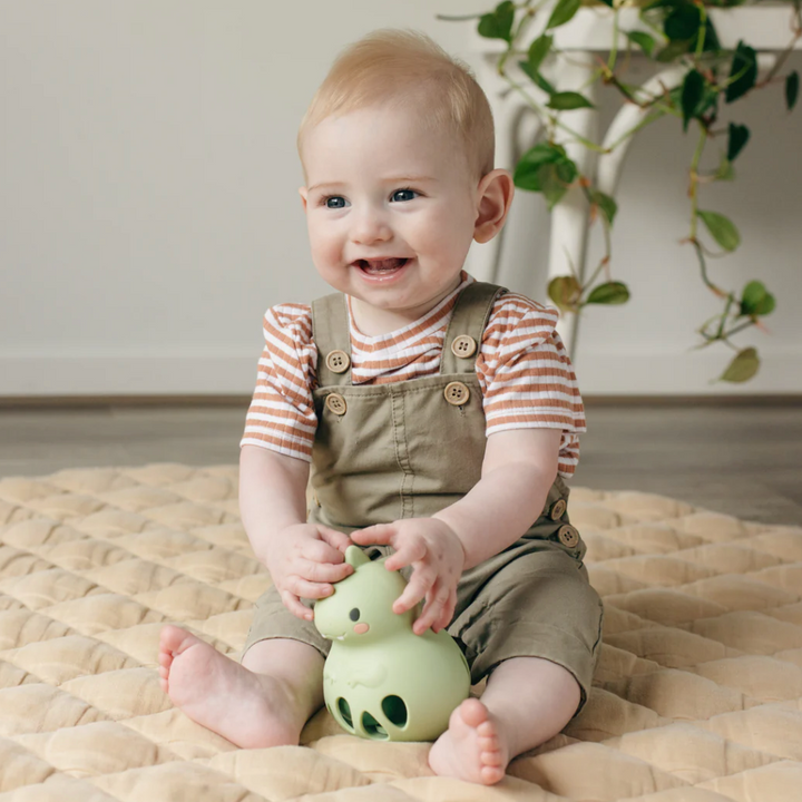Silicone Rattle - Dino