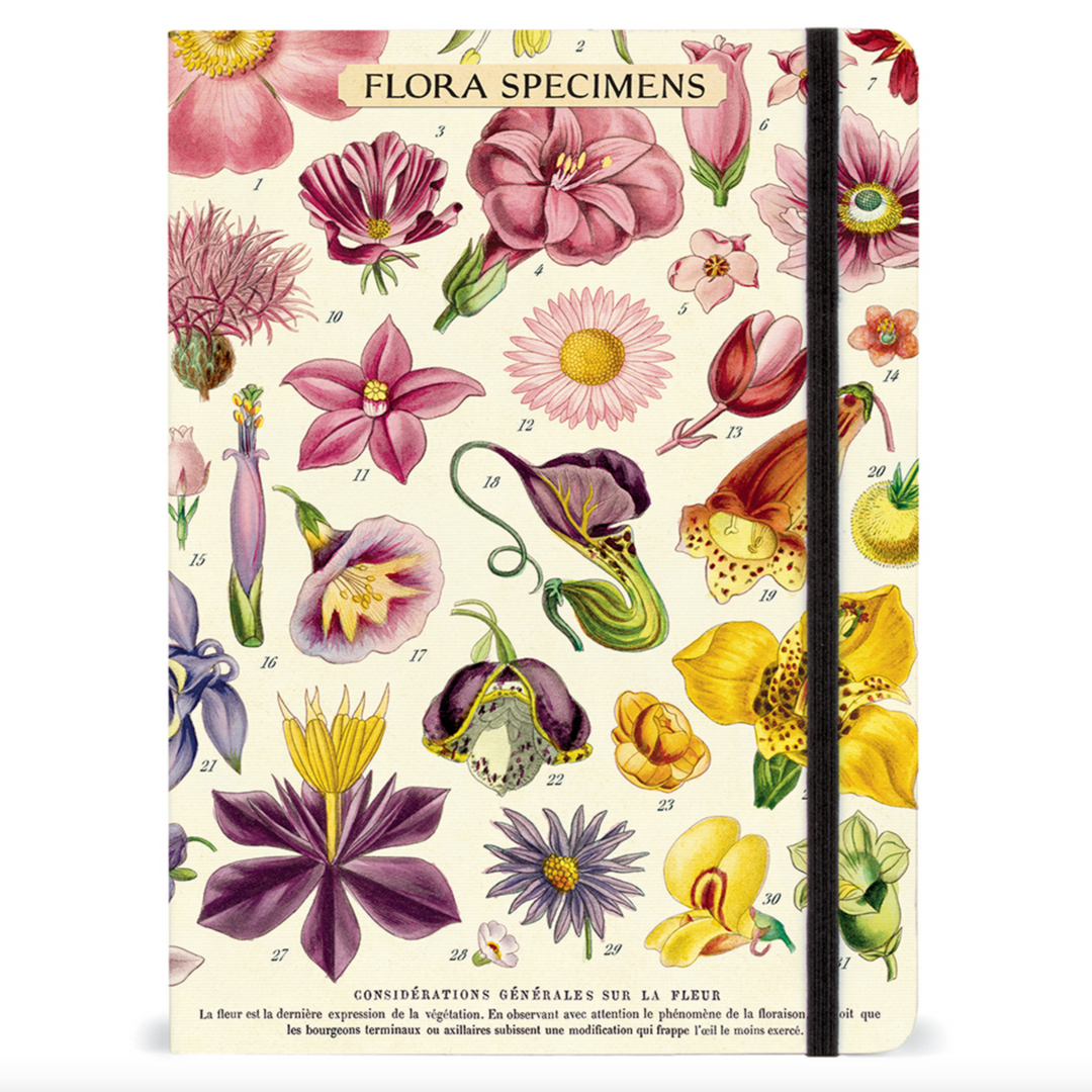 Flora Specimens Large Notebook