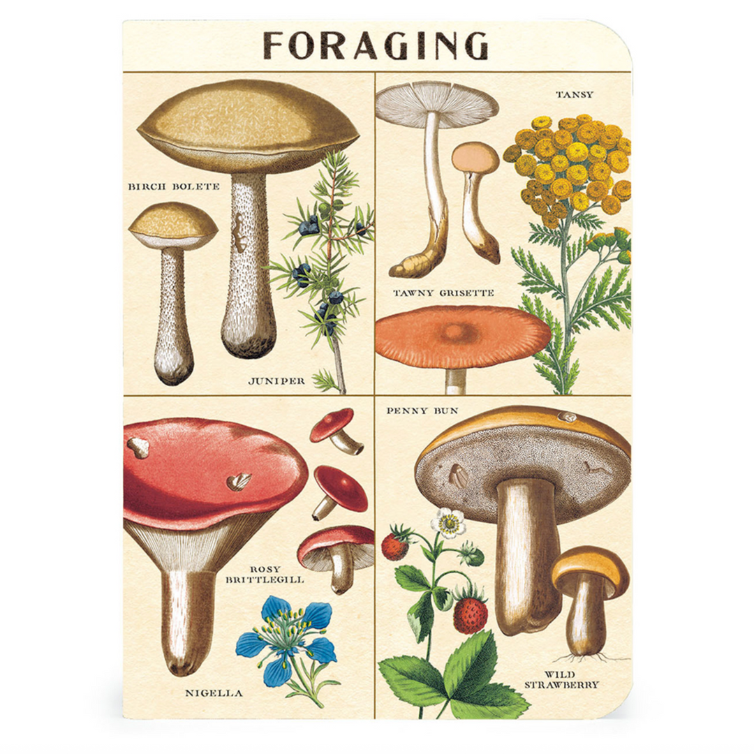 Mini Notebooks - Foraging