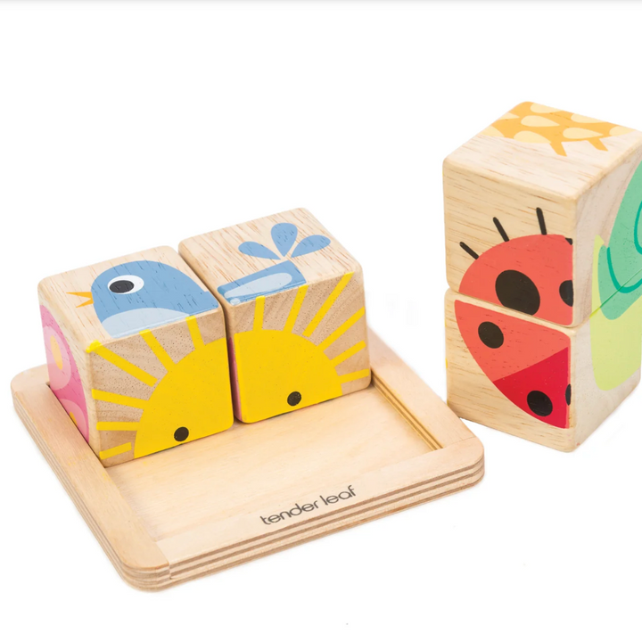 Baby Blocks