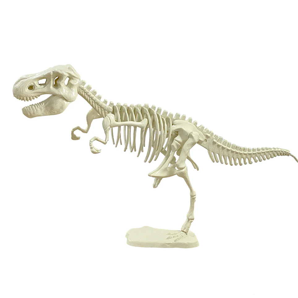 Giant Dinosaur Skeleton Kit