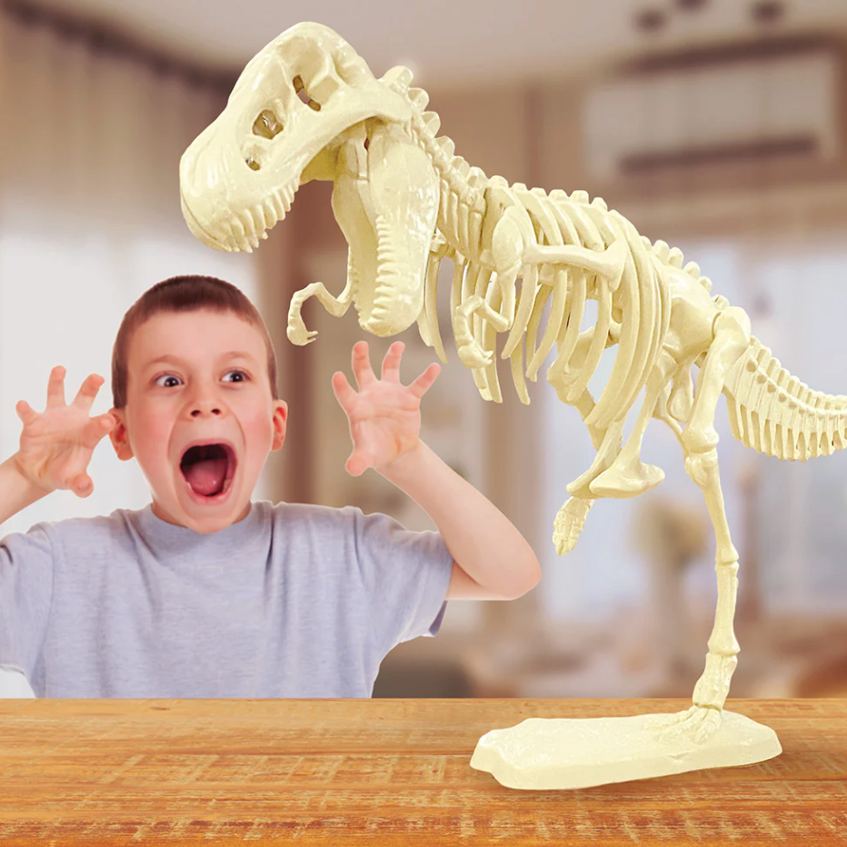 Giant Dinosaur Skeleton Kit
