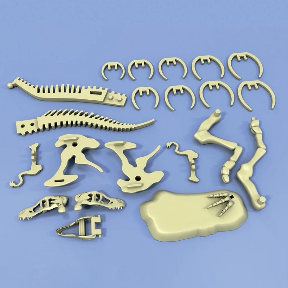 Giant Dinosaur Skeleton Kit