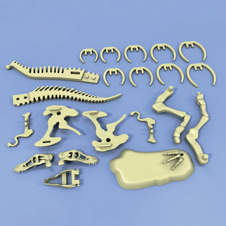 Giant Dinosaur Skeleton Kit
