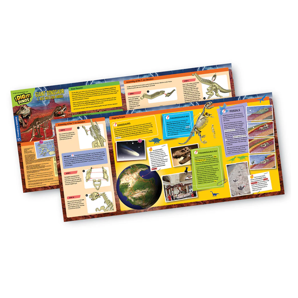Giant Dinosaur Skeleton Kit