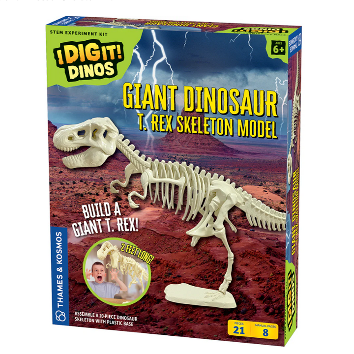 Giant Dinosaur Skeleton Kit