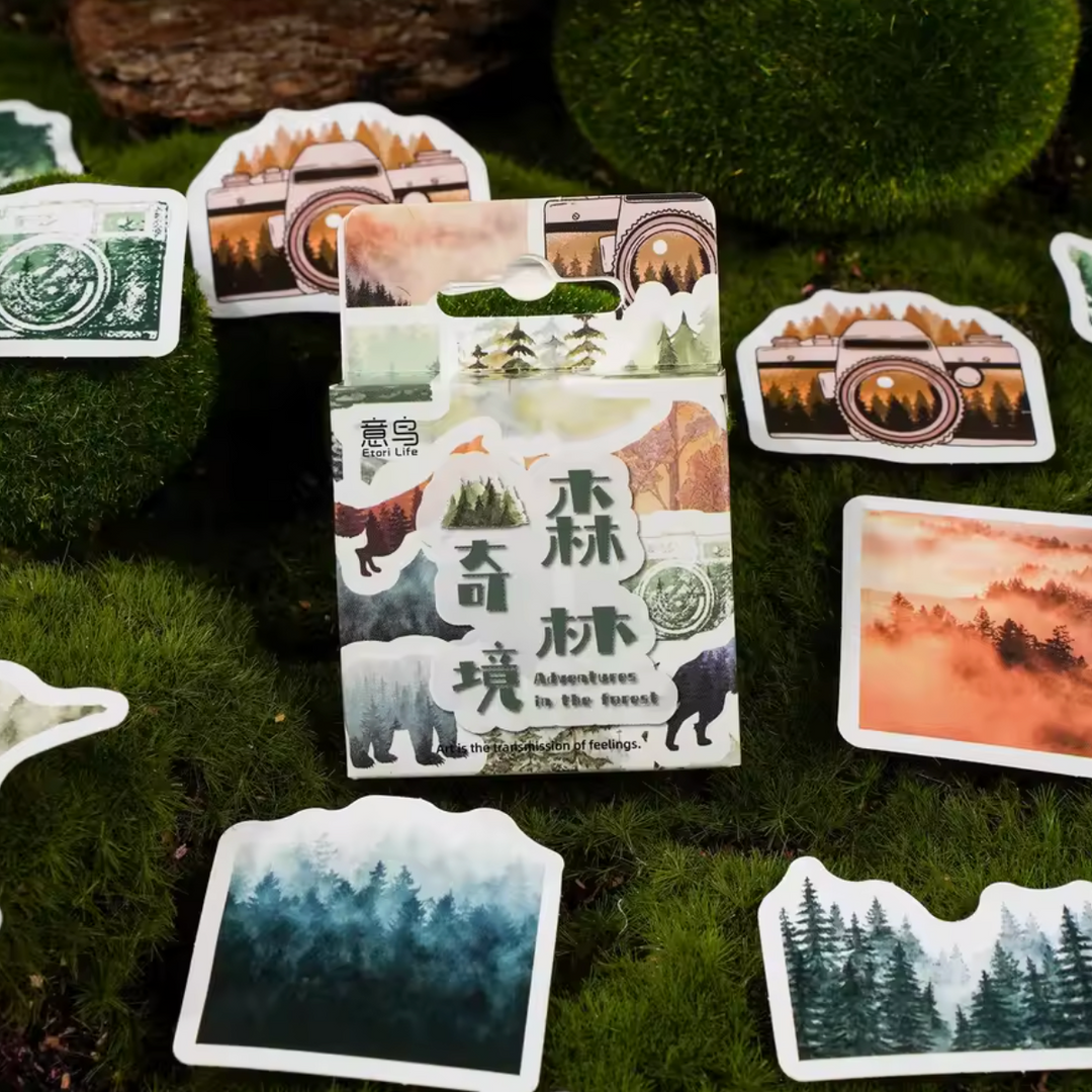Forest Diamond Sticker Adventures in the Forest Stickers (Pack of 45) – Hitchcock Paper Co.