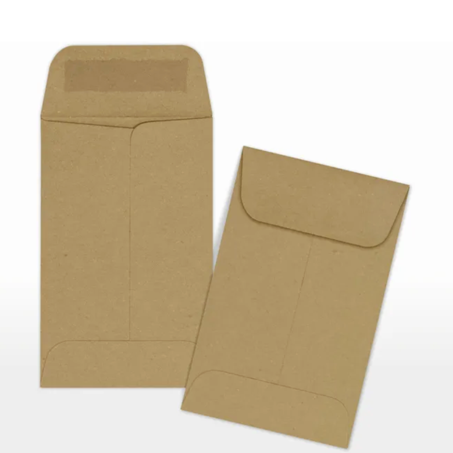 Coin Envelopes (Set of 20)