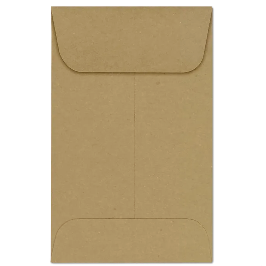Coin Envelopes (Set of 20)