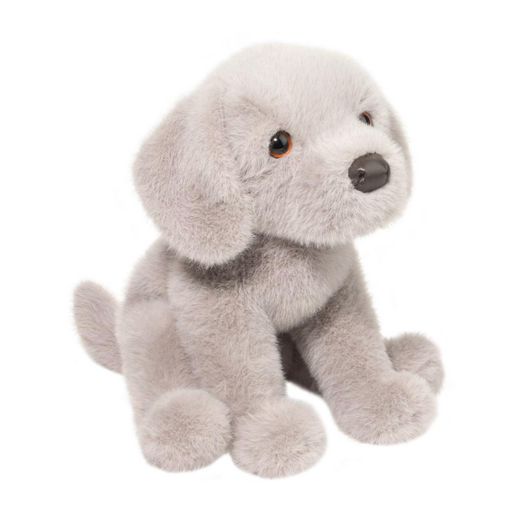 Argento the Silver Lab