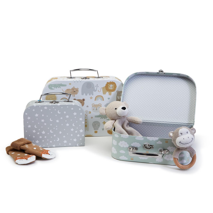 Nesting Storage Suitcase Boxes