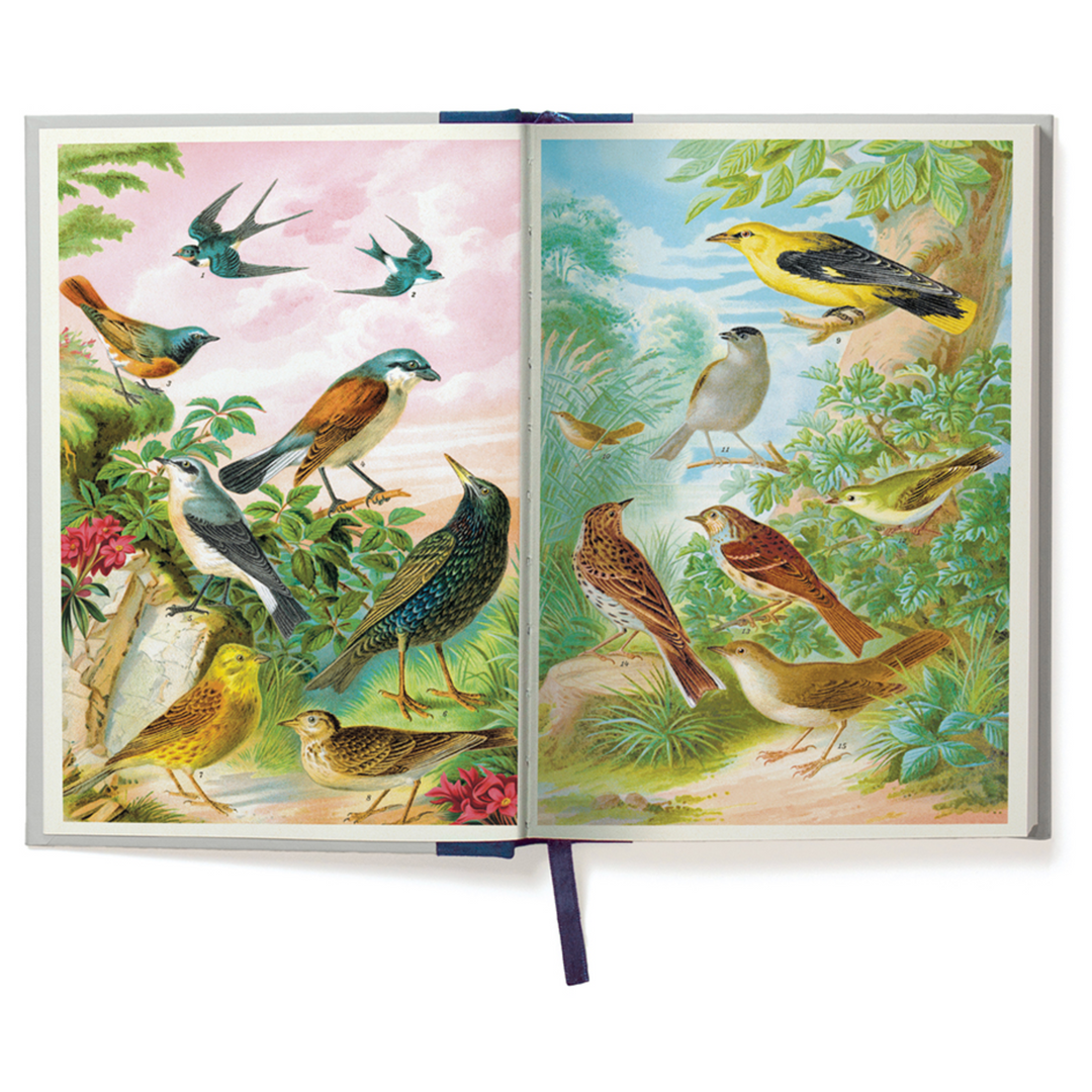 Cavallini Window Journal - Birdwatching