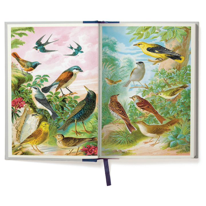 Cavallini Window Journal - Birdwatching
