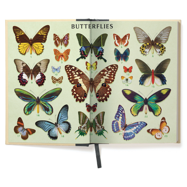 Cavallini Window Journal - Butterflies