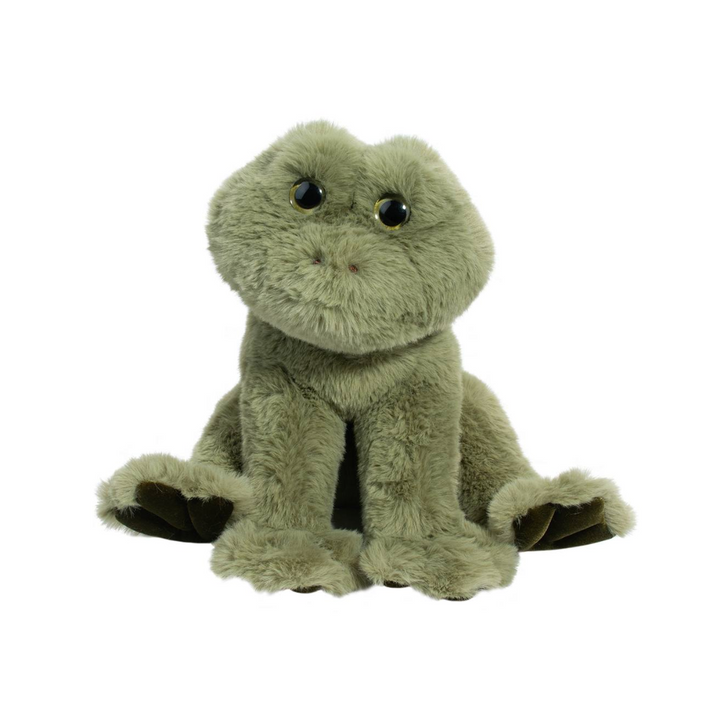Finnie the Frog