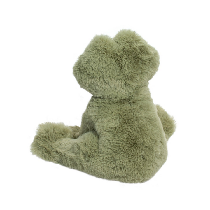 Finnie the Frog