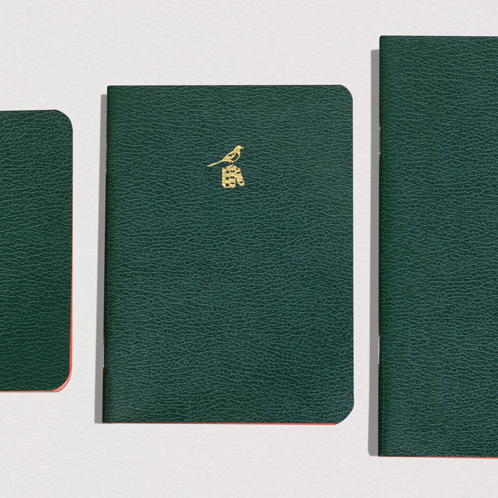 Bieffe Roma Notebook - Green (Blank)