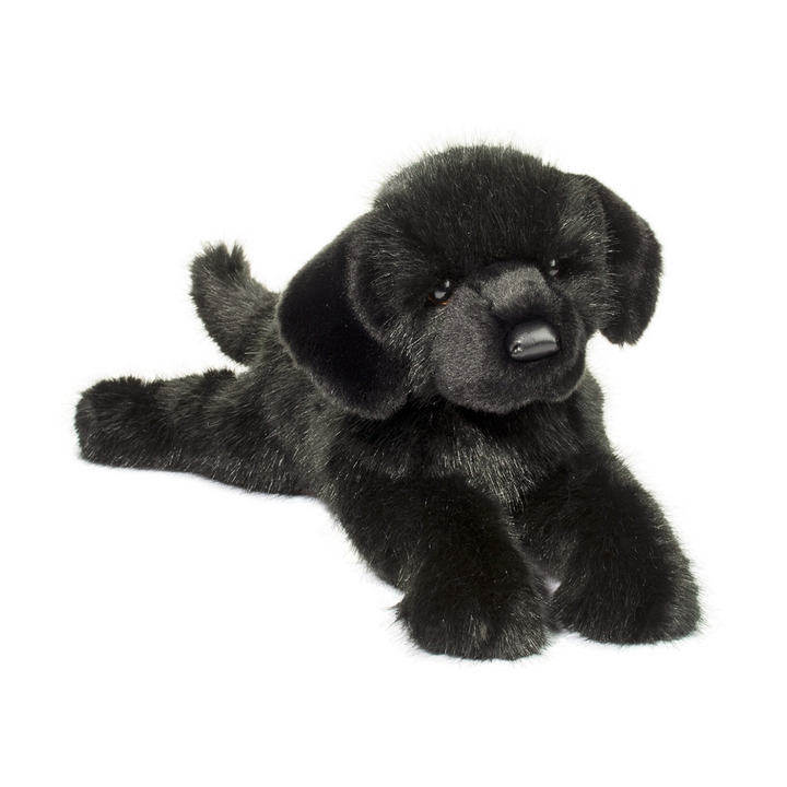 Jake the Black Lab