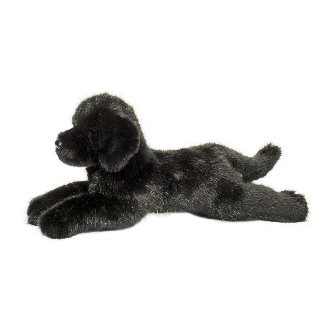 Jake the Black Lab
