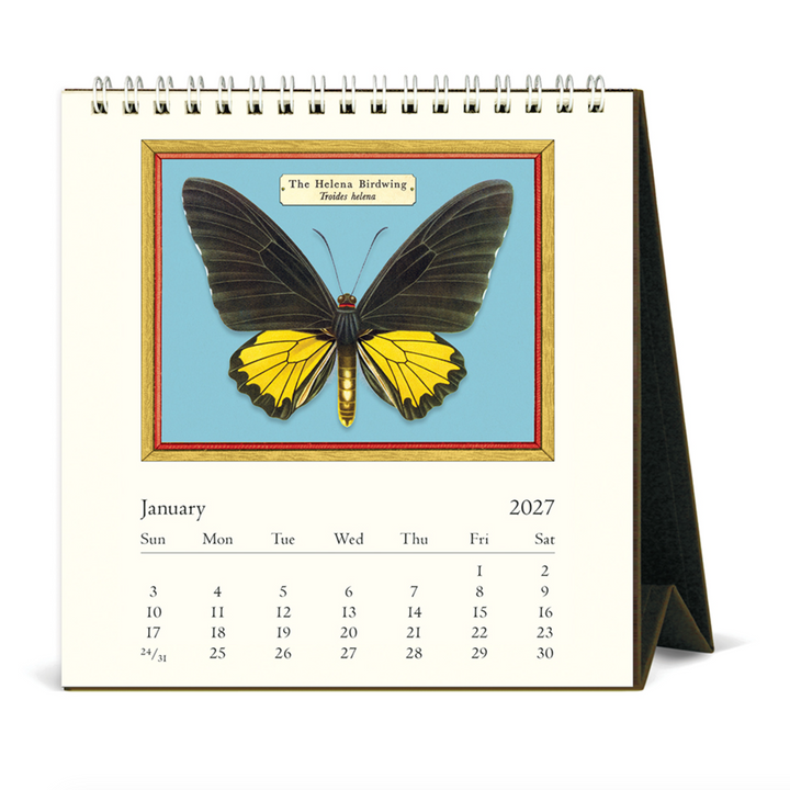 Cavallini Desk Calendar - Butterflies (2027)