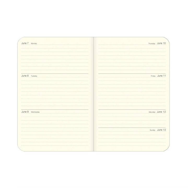 Cavallini Weekly Planner - Bird Watching (Jan-Dec 2027)