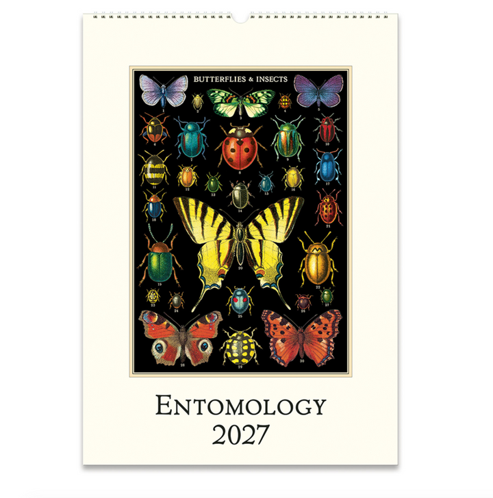 Cavallini Wall Calendar - Entomology (2027)