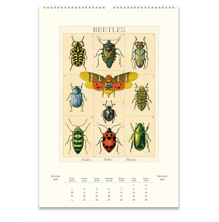 Cavallini Wall Calendar - Entomology (2027)