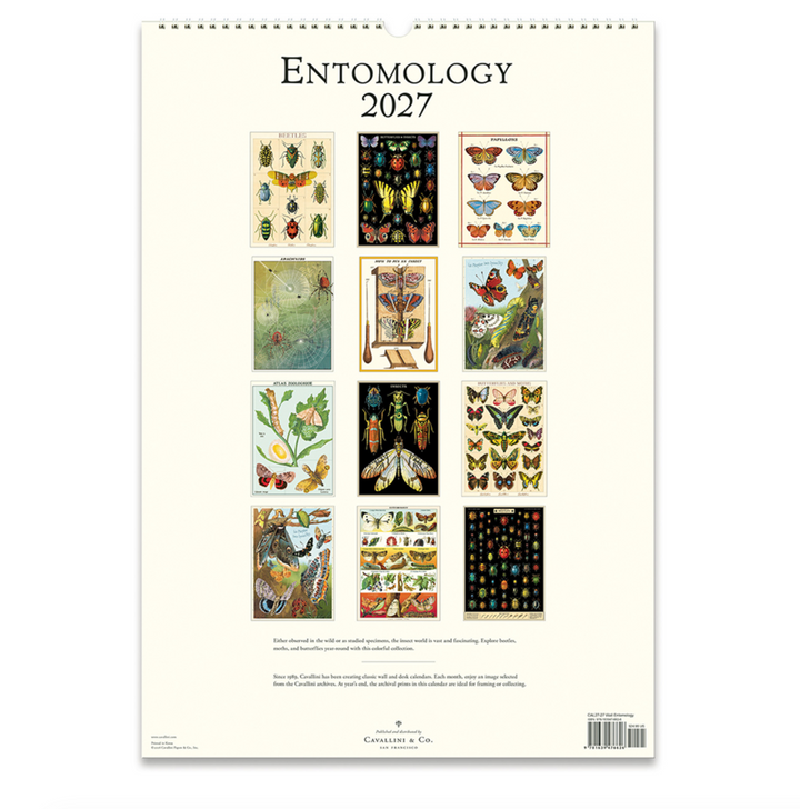 Cavallini Wall Calendar - Entomology (2027)