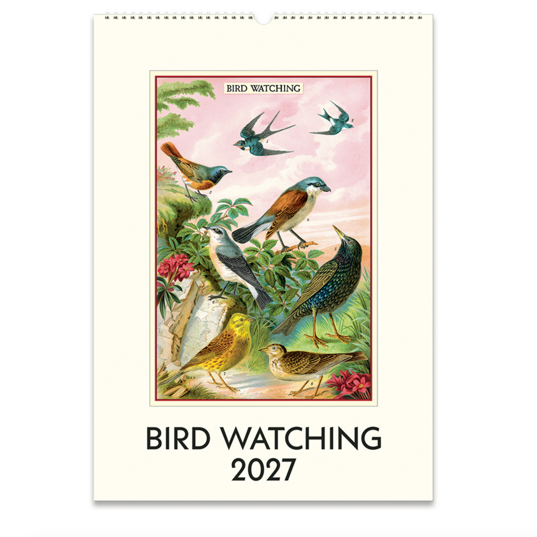 Cavallini Wall Calendar - Bird Watching (2027)