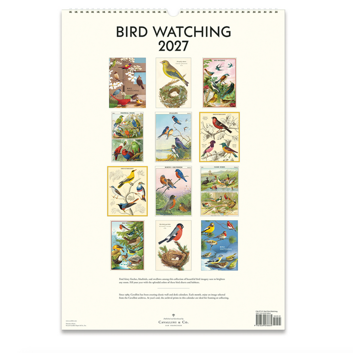 Cavallini Wall Calendar - Bird Watching (2027)