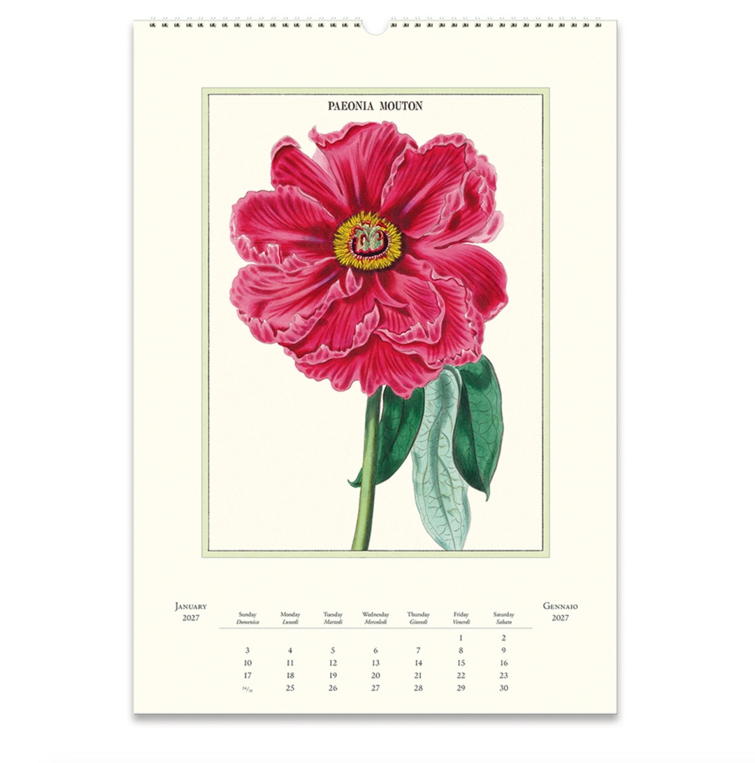 Cavallini Wall Calendar - Botanica (2027)