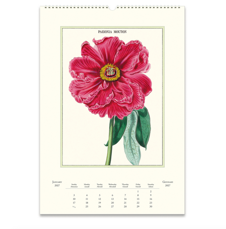 Cavallini Wall Calendar - Botanica (2027)
