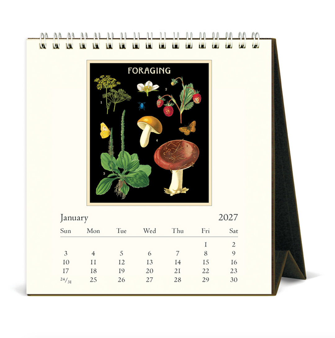 Cavallini Desk Calendar - Foraging (2027)
