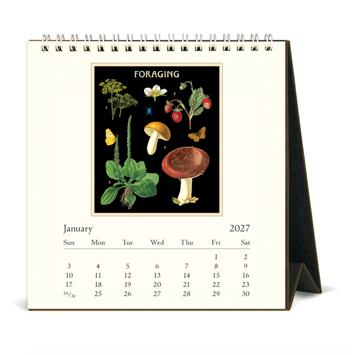 Cavallini Desk Calendar - Foraging (2027)