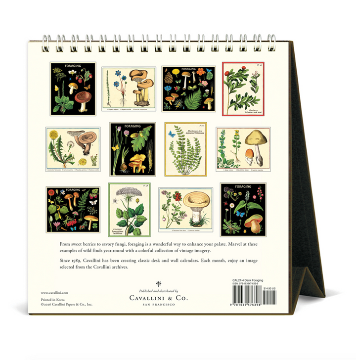 Cavallini Desk Calendar - Foraging (2027)