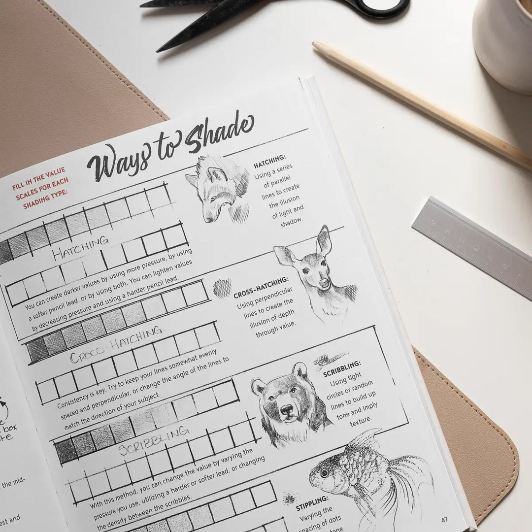 The Artist's Drawing Book (Learn How To Draw)