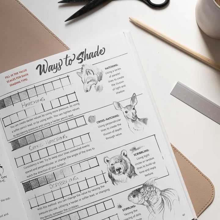 The Artist's Drawing Book (Learn How To Draw)