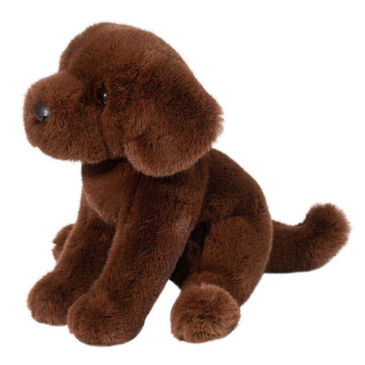 Zoom the Chocolate Lab