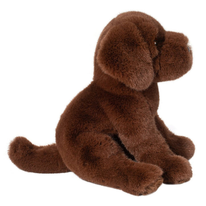 Zoom the Chocolate Lab
