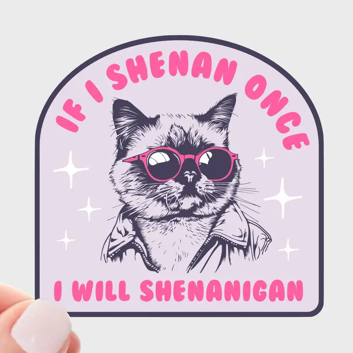 If I Shenan Once I Will Shenanigan Sticker