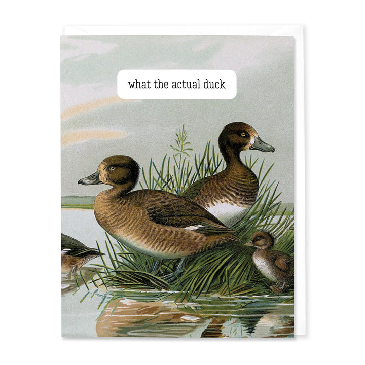 What the Actual Duck Card (Set of 8)