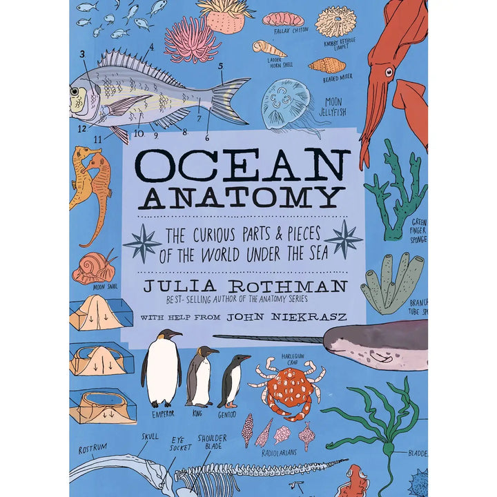 Ocean Anatomy - The Curious Parts & Pieces
